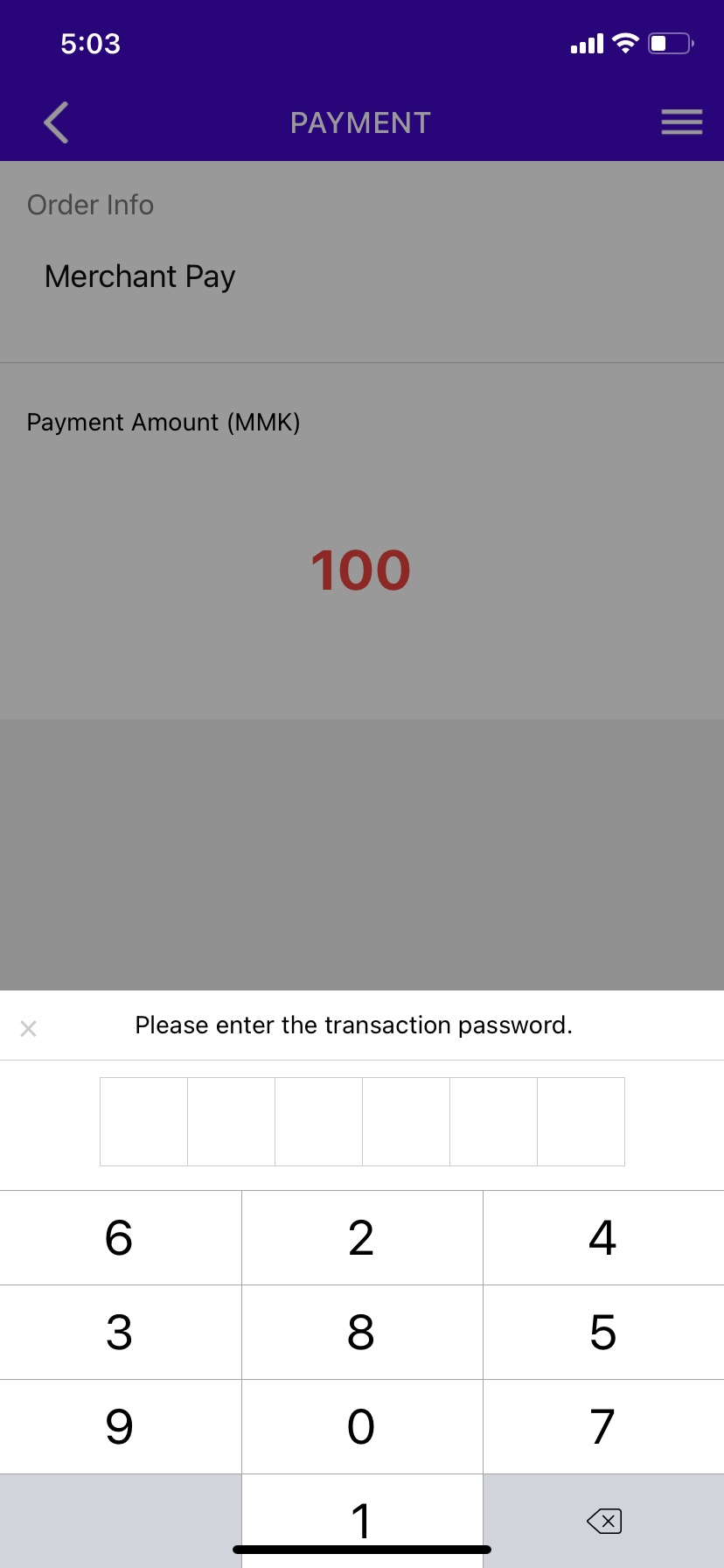 User enters payment password to confirm the transaction